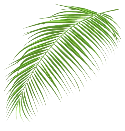 leaf decoration